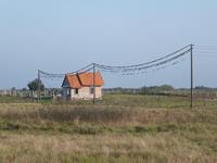 unendlich viele Vögel auf der Stromleitung